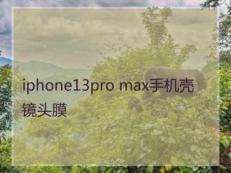 iphone13pro max手机壳镜头膜