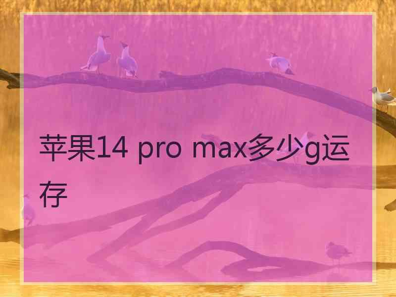 苹果14 pro max多少g运存