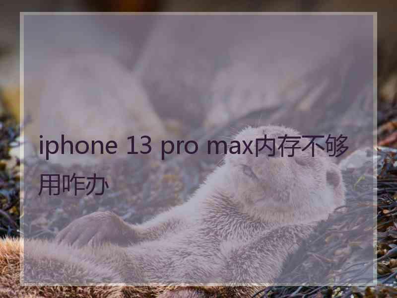 iphone 13 pro max内存不够用咋办