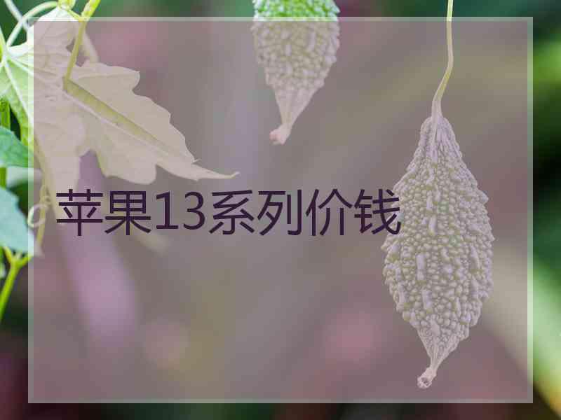 苹果13系列价钱