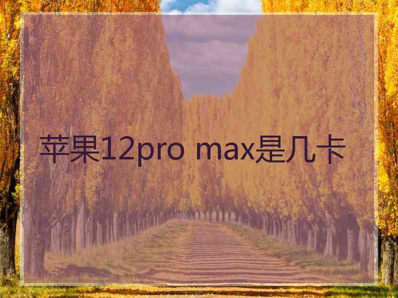 苹果12pro max是几卡