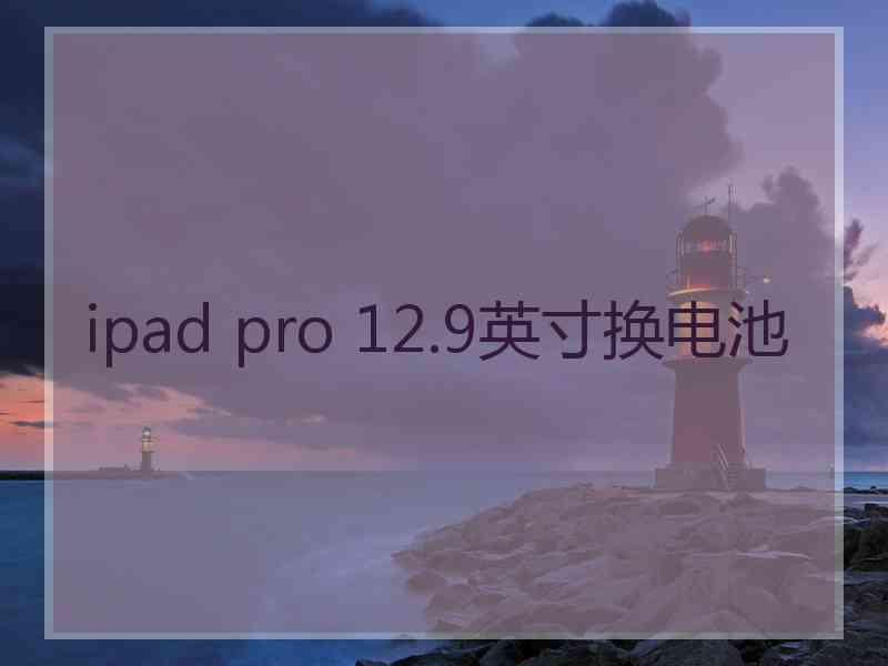 ipad pro 12.9英寸换电池