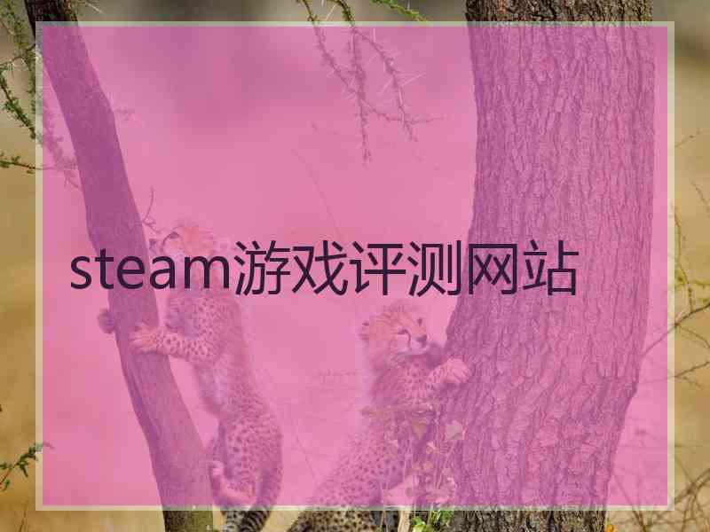 steam游戏评测网站