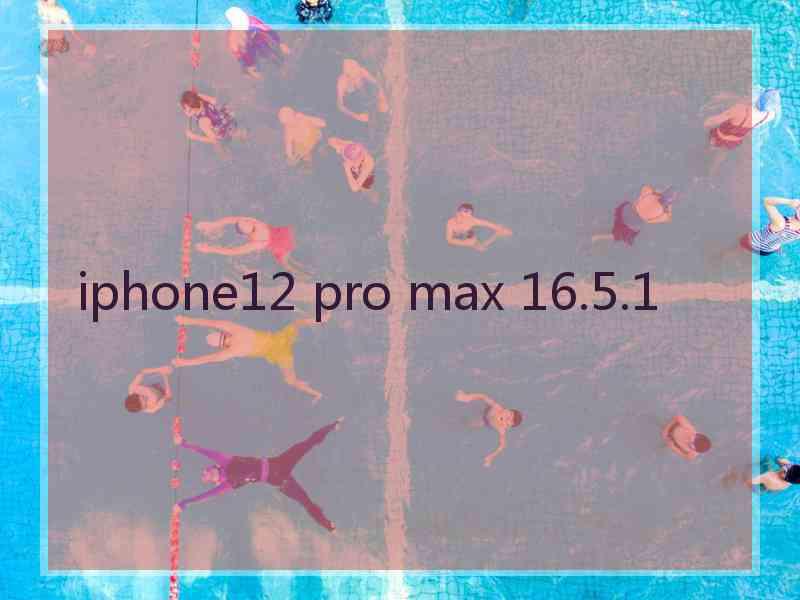 iphone12 pro max 16.5.1