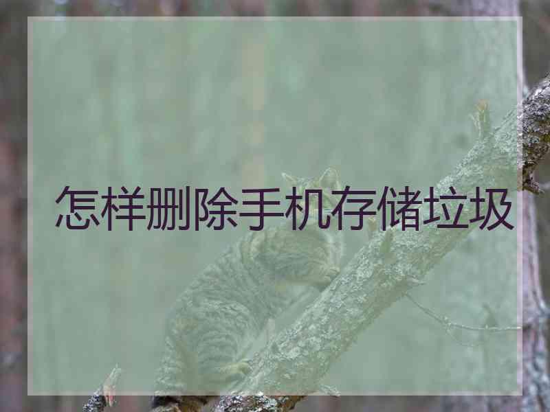 怎样删除手机存储垃圾
