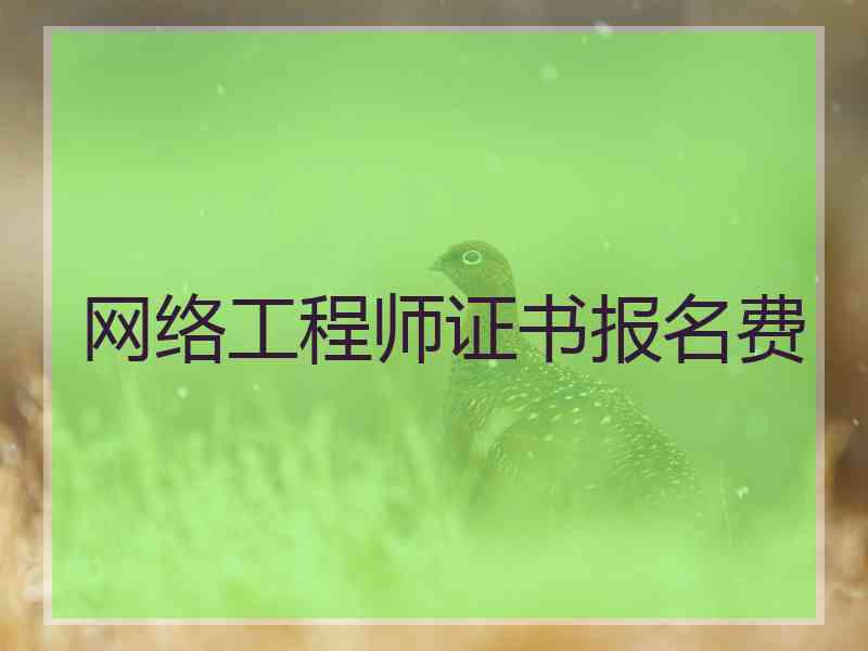 网络工程师证书报名费