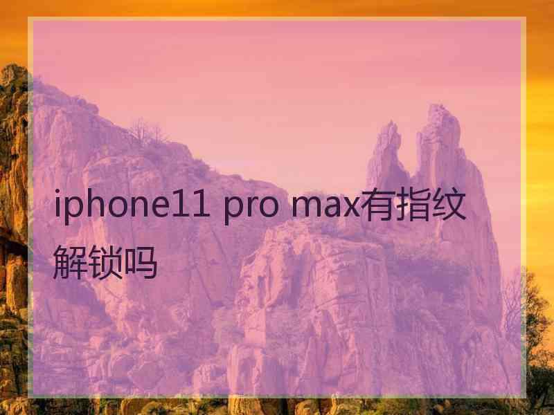 iphone11 pro max有指纹解锁吗