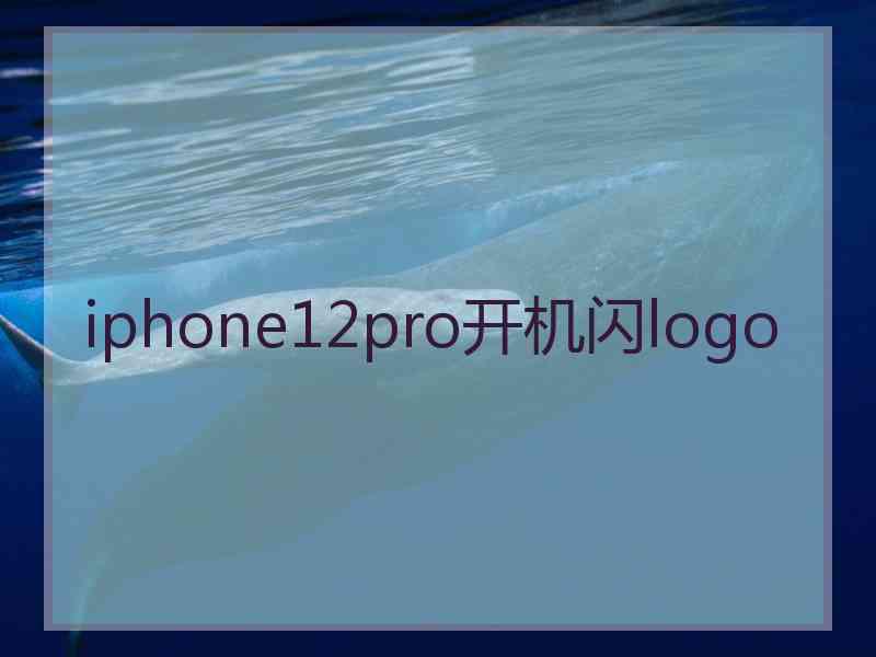 iphone12pro开机闪logo