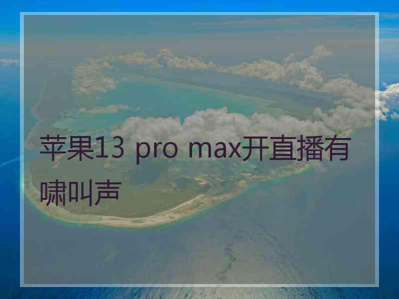 苹果13 pro max开直播有啸叫声