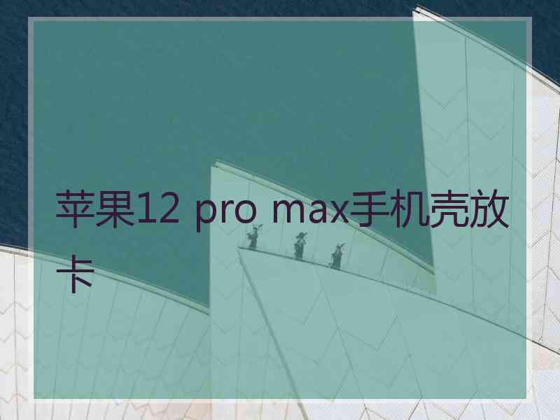 苹果12 pro max手机壳放卡