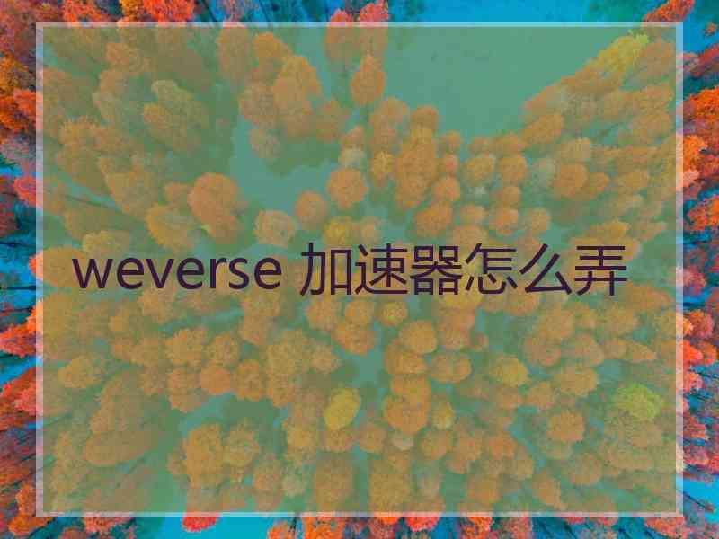 weverse 加速器怎么弄