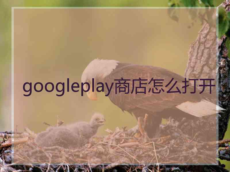 googleplay商店怎么打开