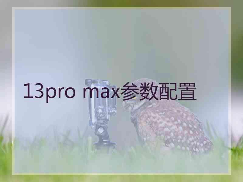 13pro max参数配置