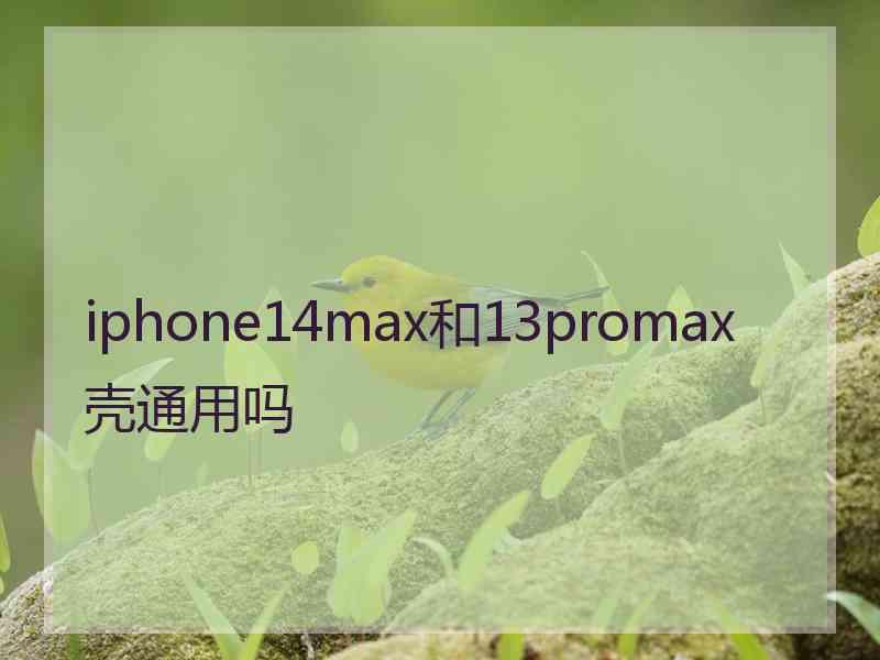 iphone14max和13promax壳通用吗