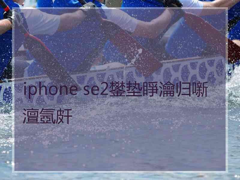 iphone se2鐢垫睜瀹归噺澶氬皯