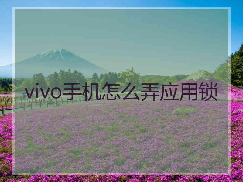 vivo手机怎么弄应用锁