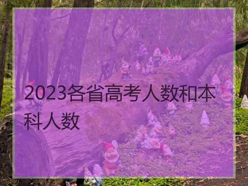 2023各省高考人数和本科人数