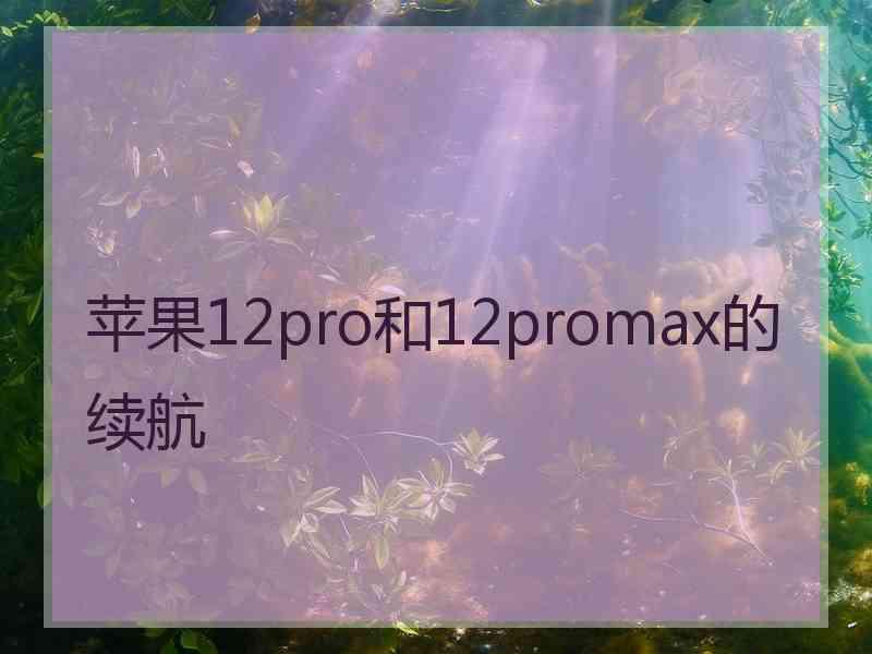 苹果12pro和12promax的续航