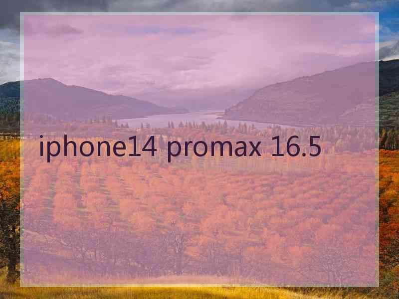 iphone14 promax 16.5