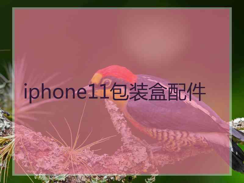 iphone11包装盒配件