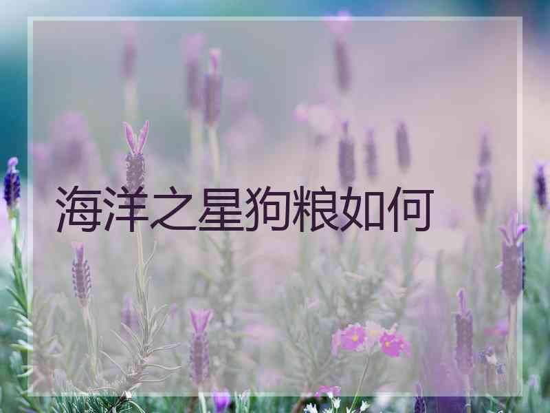 海洋之星狗粮如何