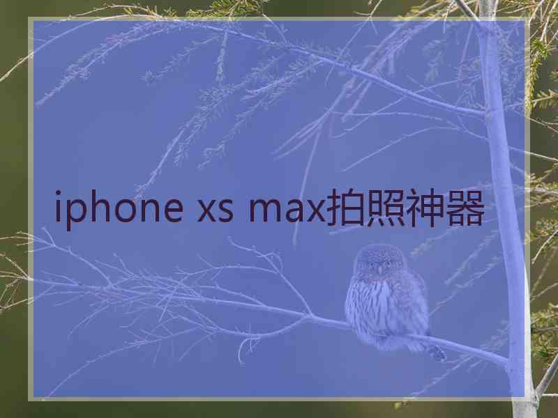 iphone xs max拍照神器