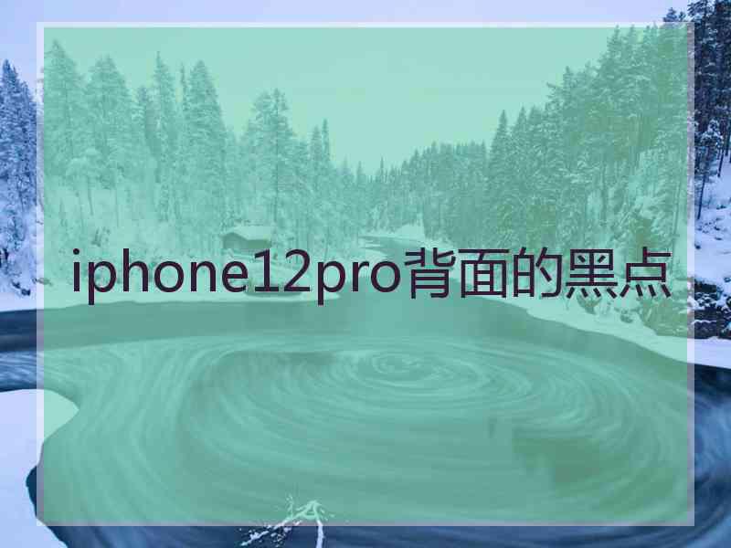 iphone12pro背面的黑点