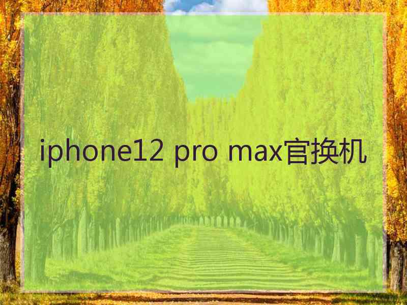 iphone12 pro max官换机