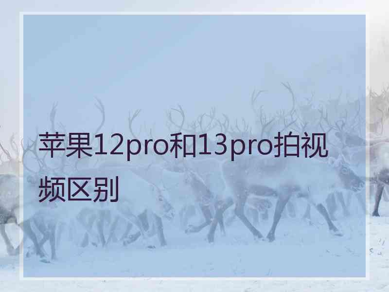 苹果12pro和13pro拍视频区别