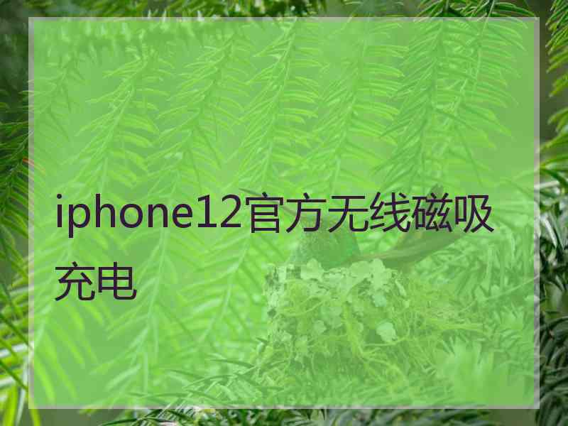 iphone12官方无线磁吸充电