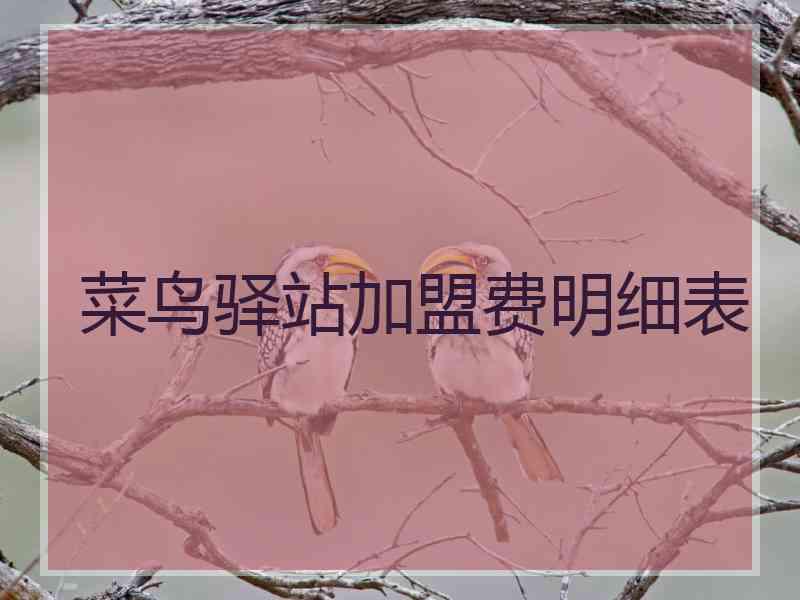 菜鸟驿站加盟费明细表