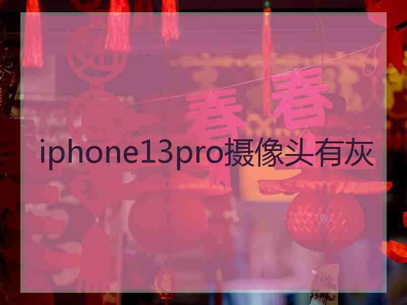 iphone13pro摄像头有灰