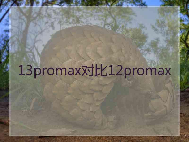 13promax对比12promax