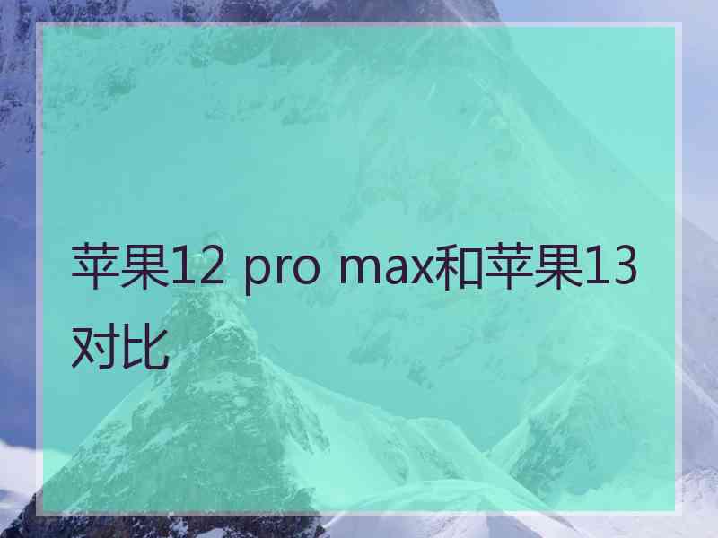 苹果12 pro max和苹果13对比