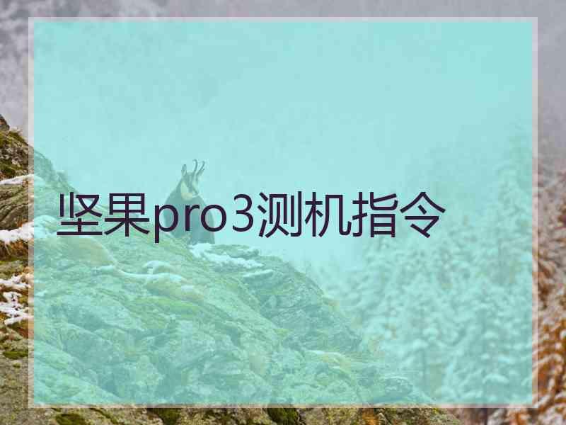 坚果pro3测机指令