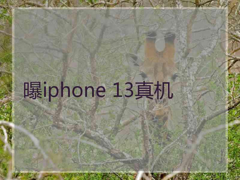 曝iphone 13真机