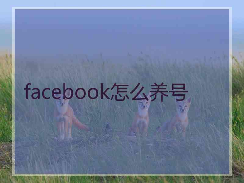 facebook怎么养号