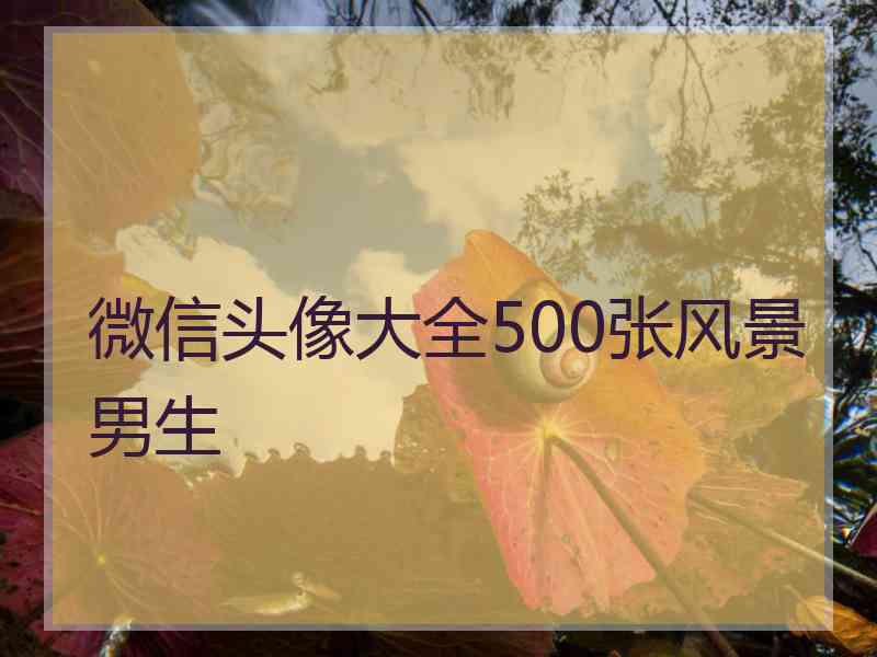 微信头像大全500张风景男生