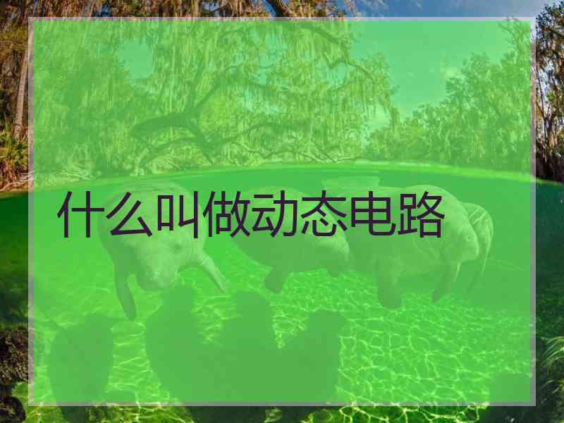 什么叫做动态电路