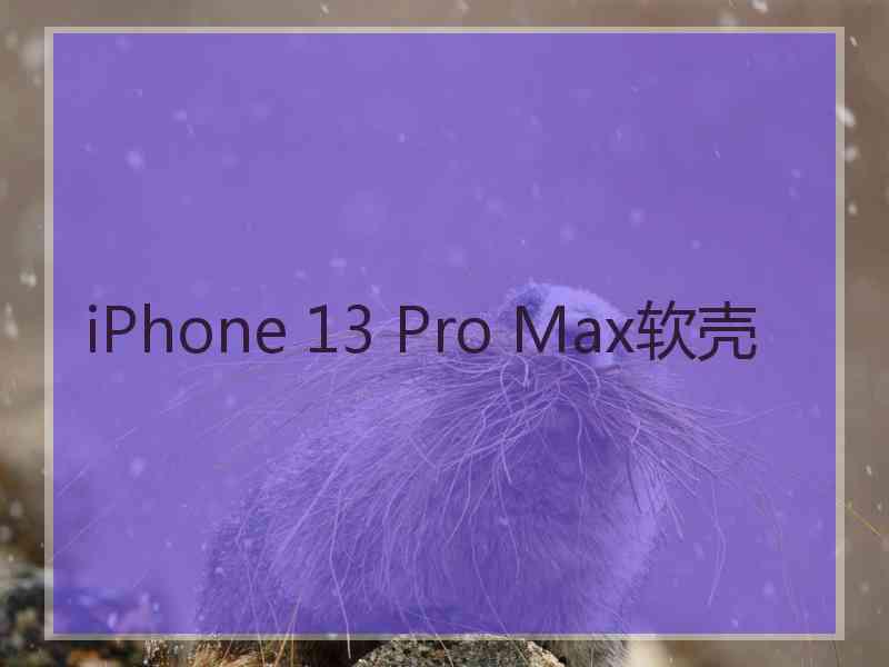 iPhone 13 Pro Max软壳