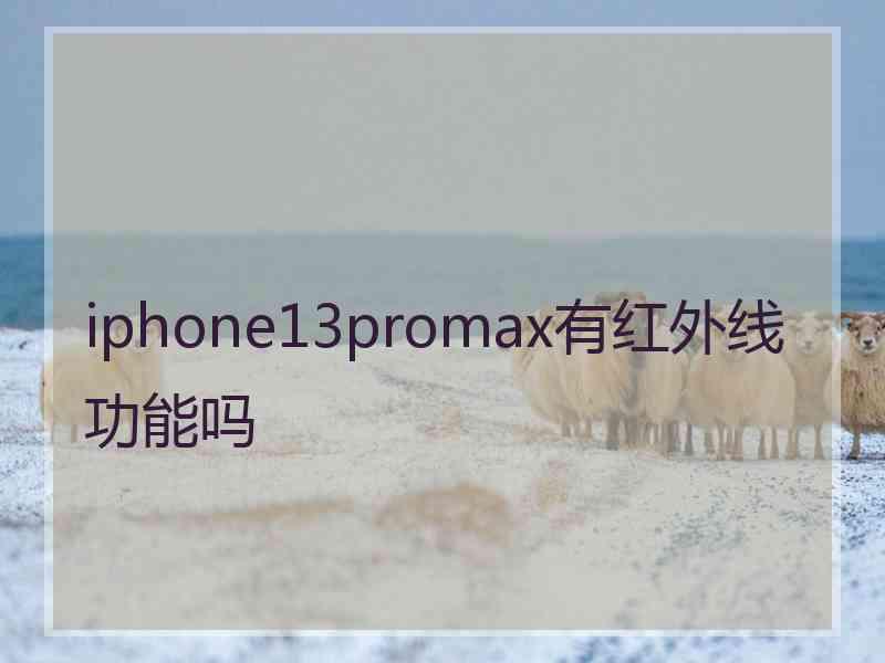 iphone13promax有红外线功能吗