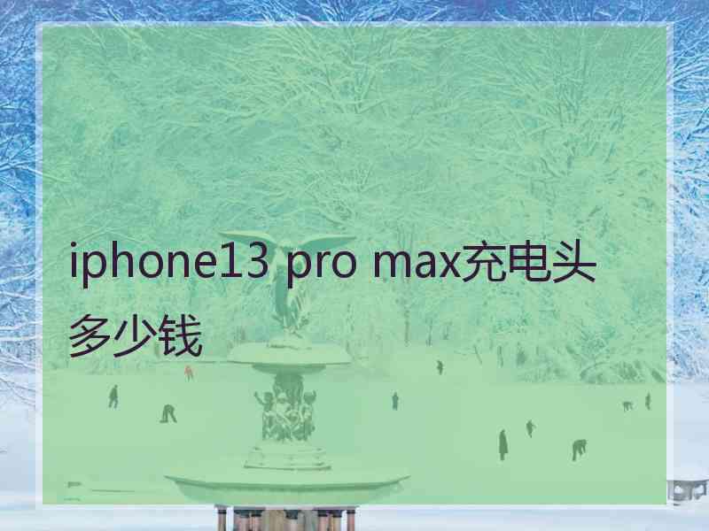 iphone13 pro max充电头多少钱