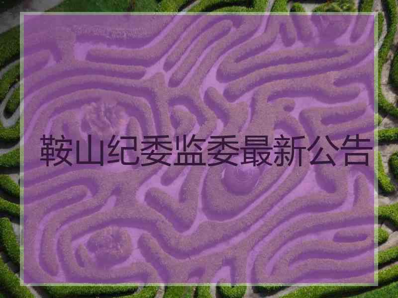 鞍山纪委监委最新公告