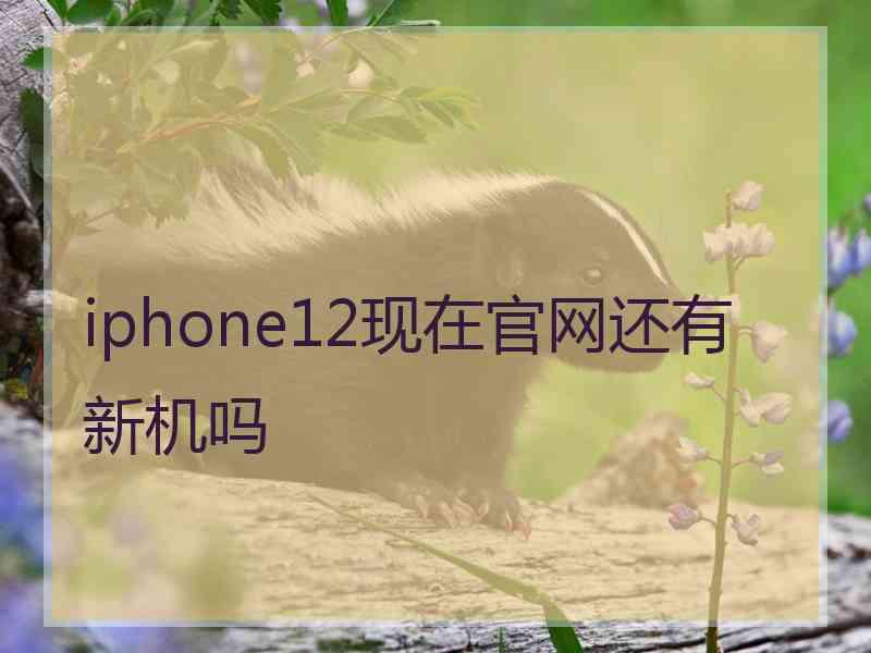 iphone12现在官网还有新机吗