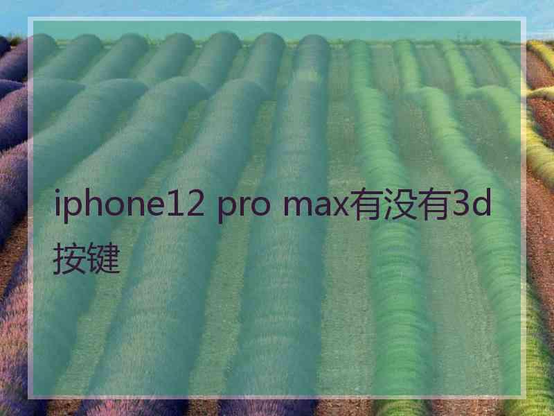 iphone12 pro max有没有3d按键