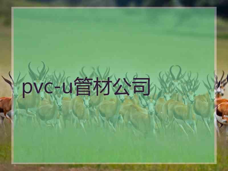 pvc-u管材公司