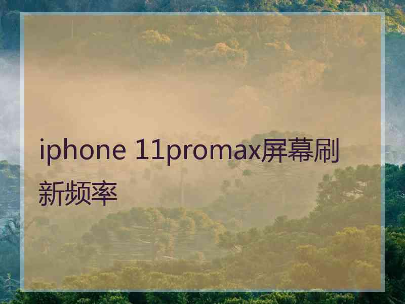 iphone 11promax屏幕刷新频率