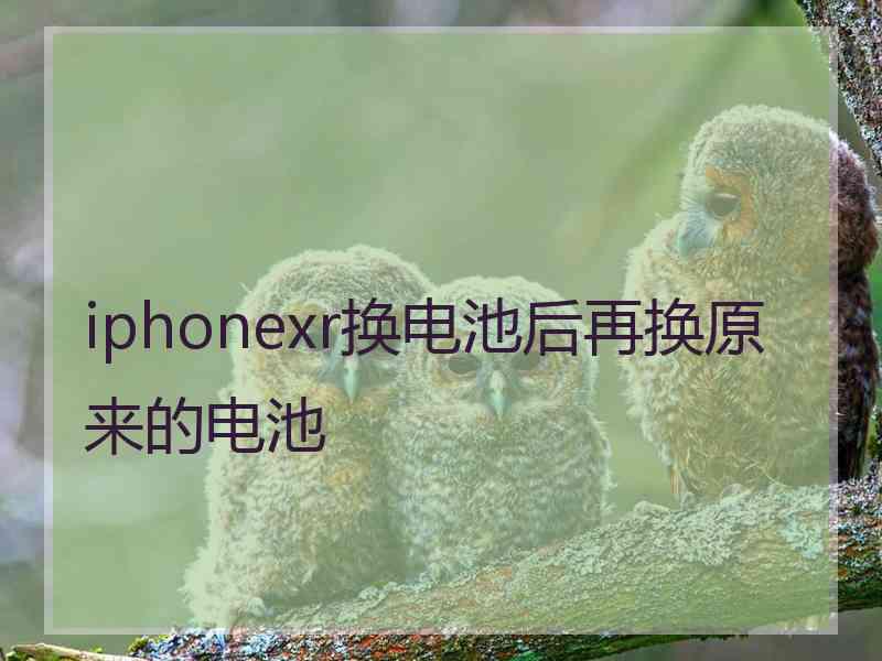 iphonexr换电池后再换原来的电池