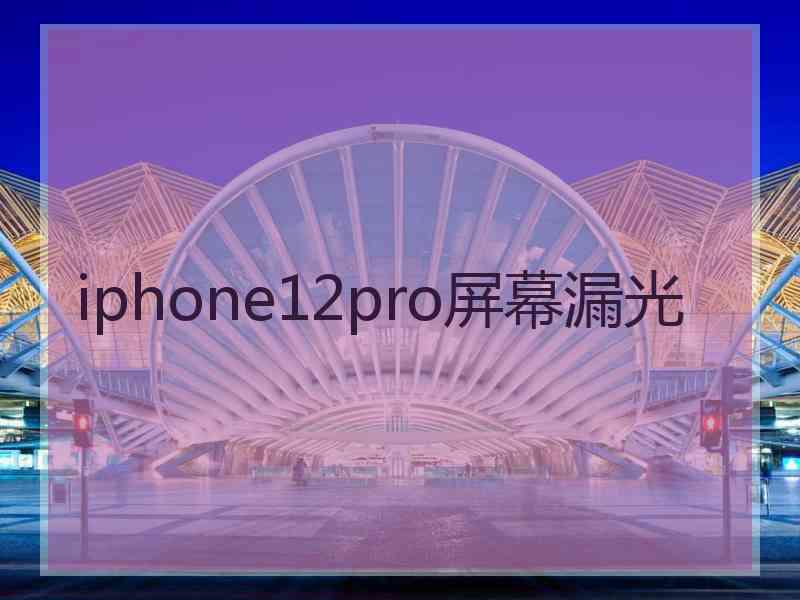 iphone12pro屏幕漏光