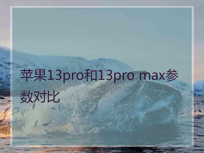 苹果13pro和13pro max参数对比